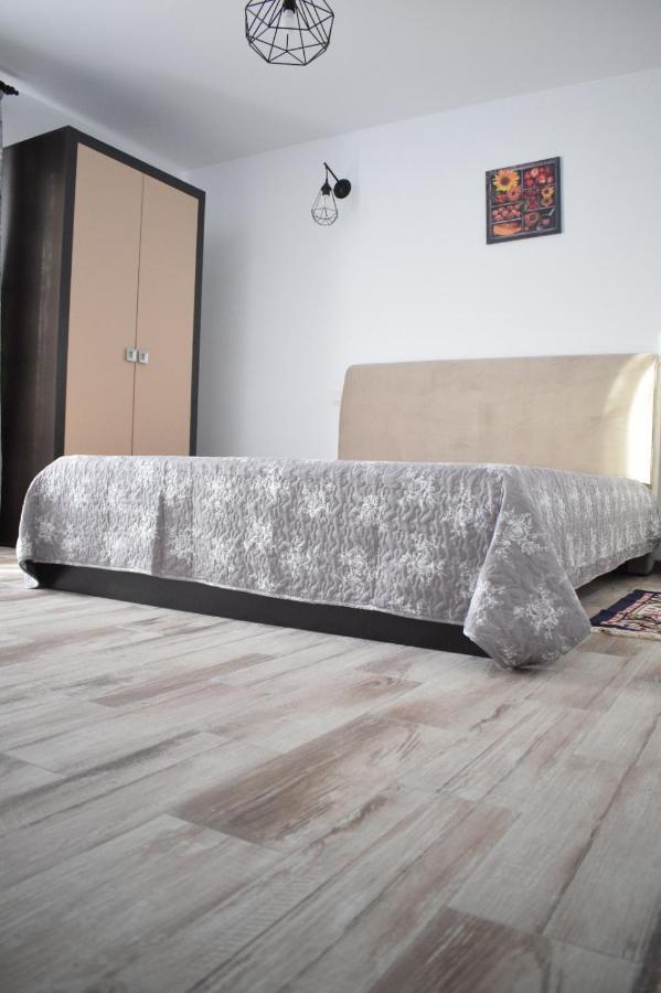 Отель Casa Dumitru Cerasu Экстерьер фото