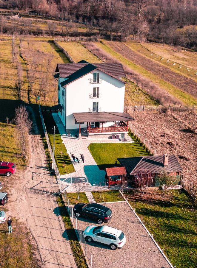 Отель Casa Dumitru Cerasu Экстерьер фото